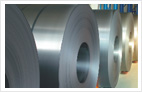 Stainless Still Coil